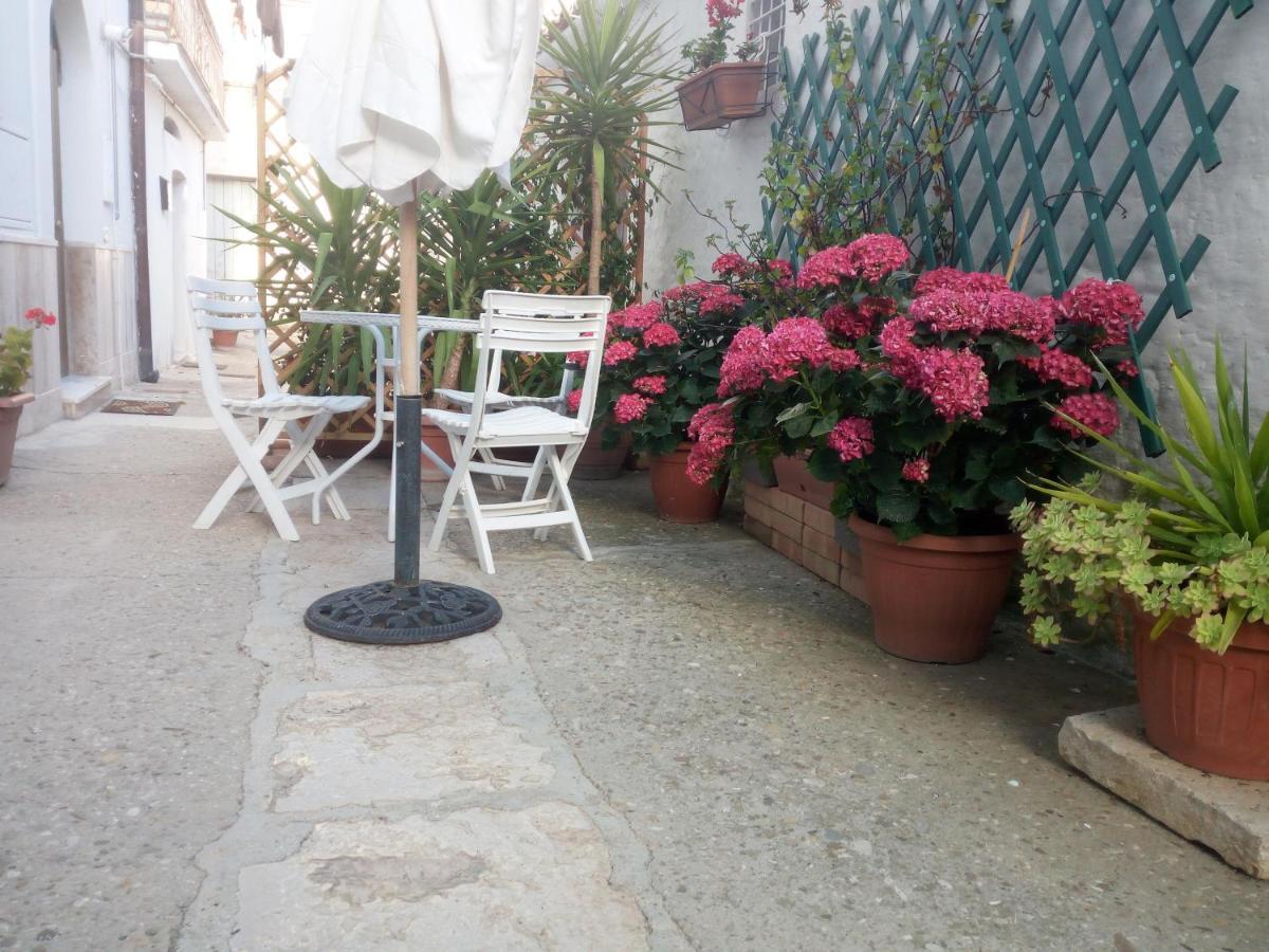 Blue Moon Bed & Breakfast Spinazzola ภายนอก รูปภาพ